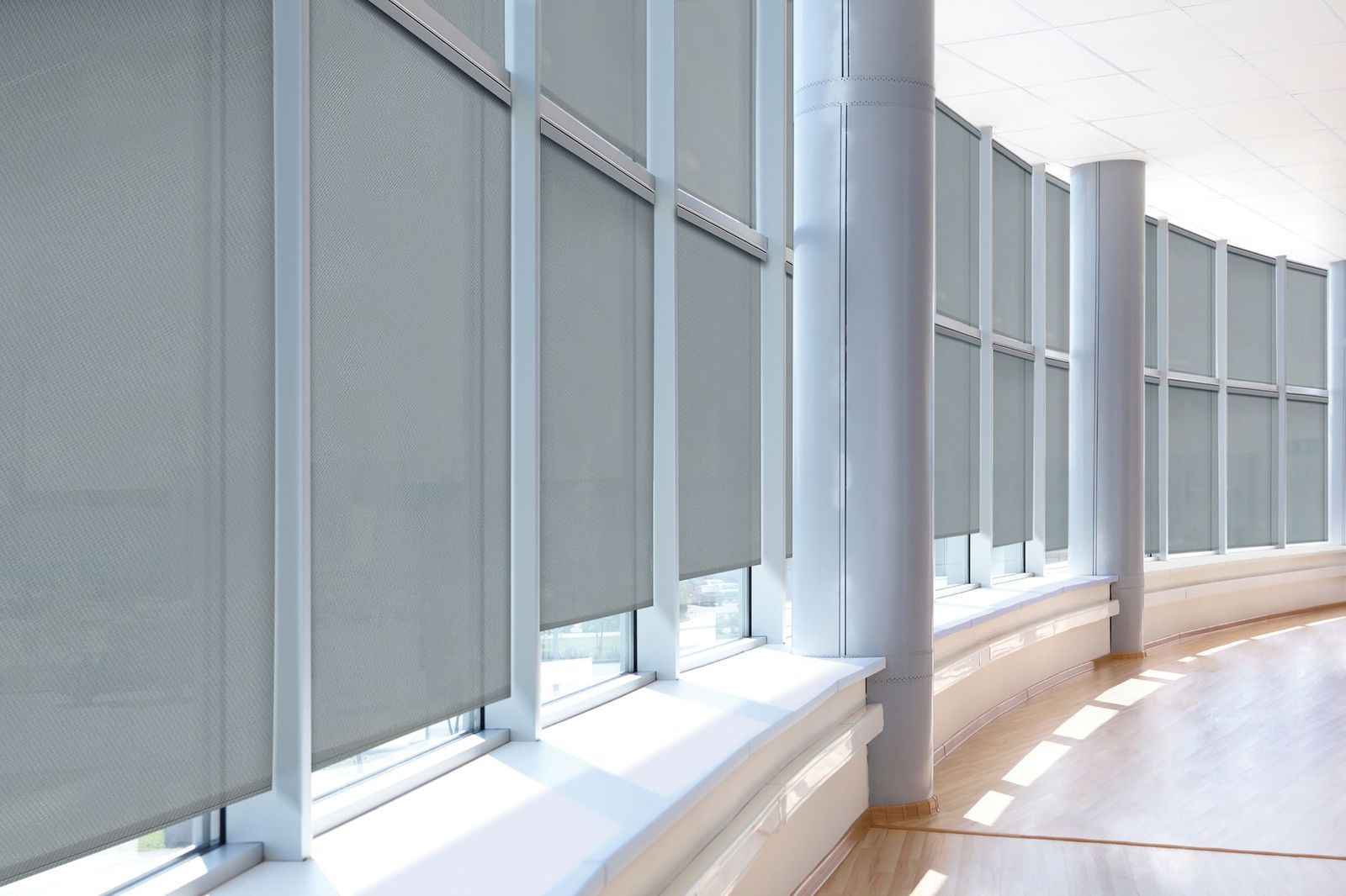 A row of gray roller shades installed on a series of tall windows in a modern office hallway.
