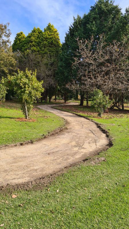 A dirt road winds through a grassy field surrounded by trees.