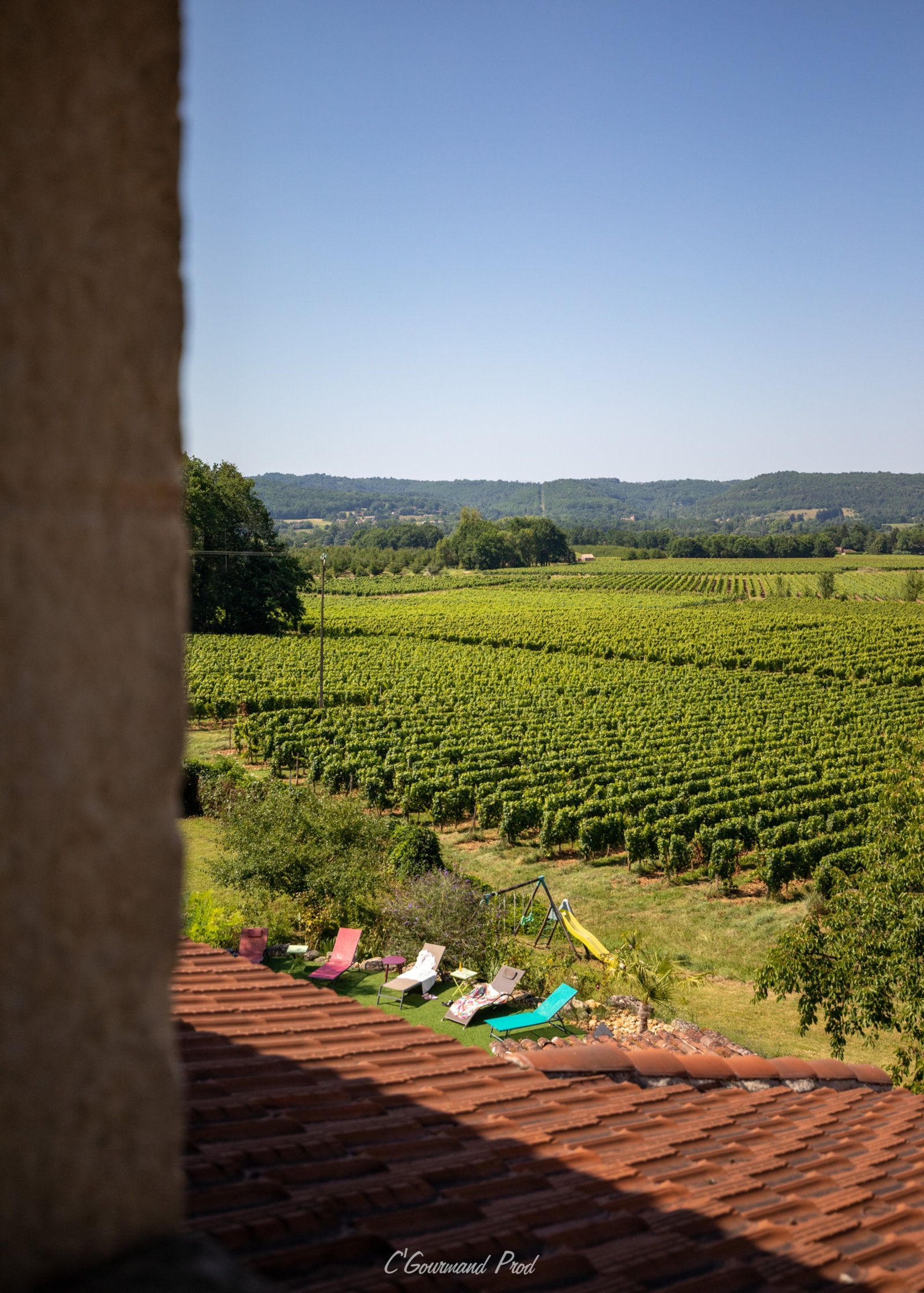 une vue sur un vignoble .