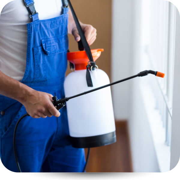 Person in blue overalls holding a white garden sprayer by a window