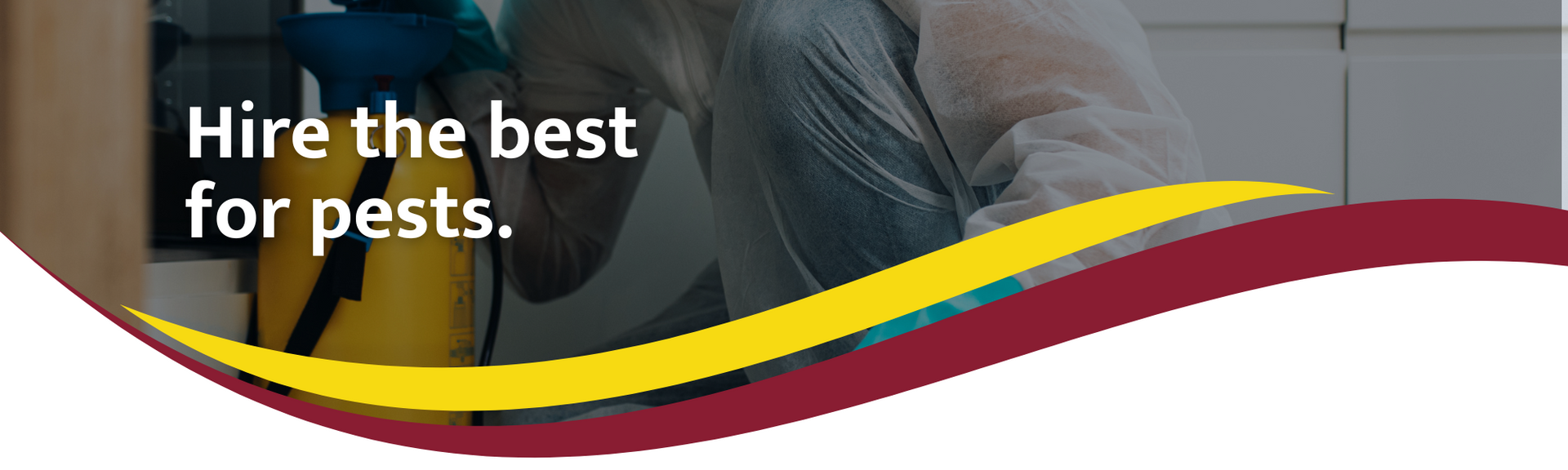 Text reading “Hire the best for pests” over a dark background with yellow and burgundy swooshes.