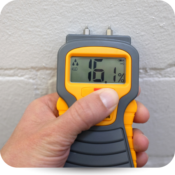Handheld moisture meter displaying 16.1% against a white wall