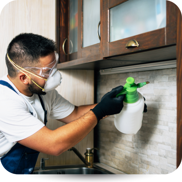 Worker wearing safety gear sprays cleaner on kitchen cabinets and backsplash