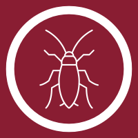 White cockroach icon inside a white circle on a dark red background.