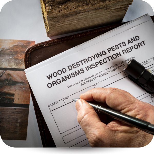 Handwriting on a wood destroying pests and organisms inspection report beside wood samples and a pen