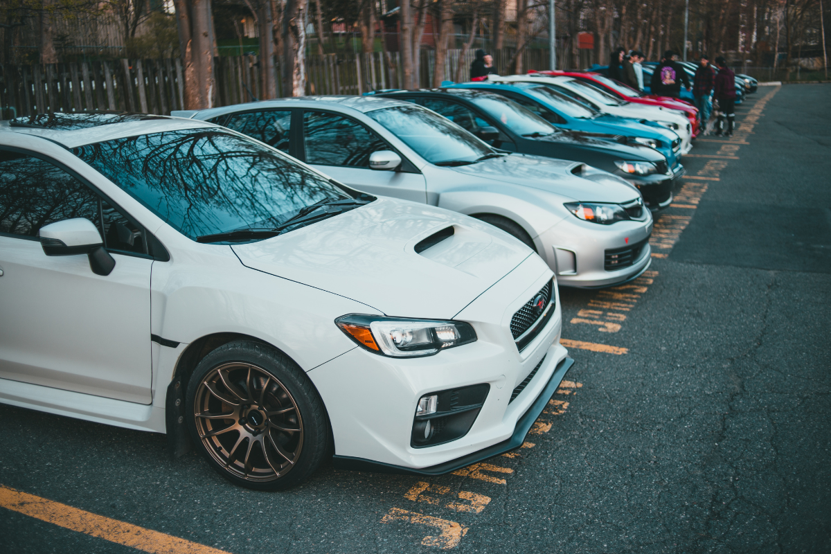 Row of parked white and blue sports cars beside a wooded road in autumn