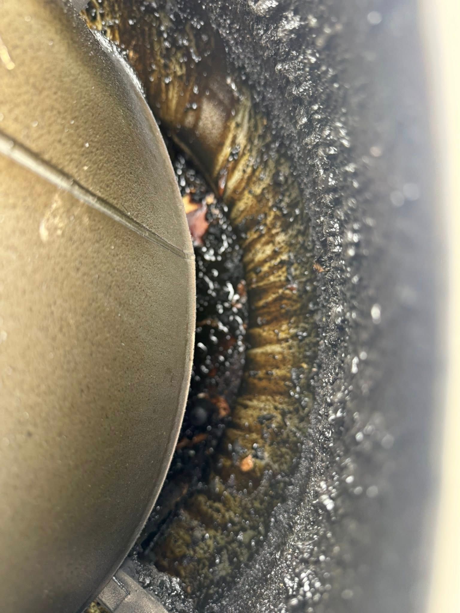 Close-up of a dark, textured cavity beside a tan curved surface, with visible debris and a small pink object.