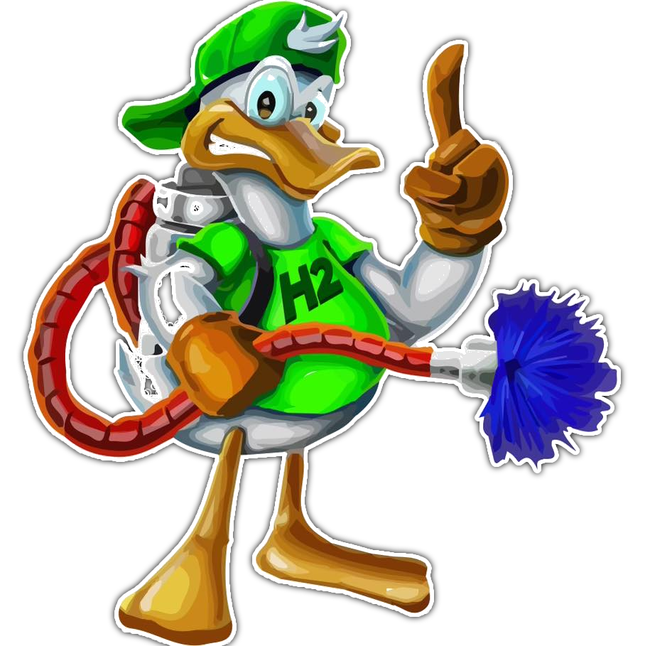 Cartoon duck janitor in green cap and shirt, holding up one finger and cleaning with a blue mop marked H2O