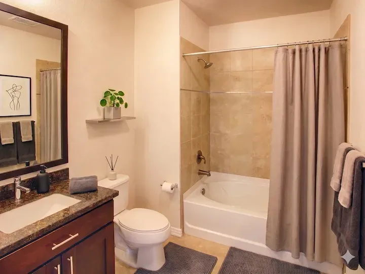 Bathroom with vanity, toilet, and bathtub with shower.