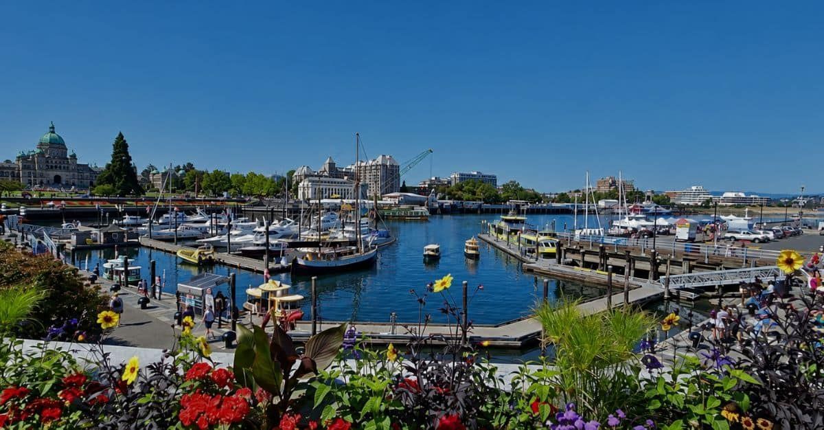 Victoria’s Inner Harbour with moored boats, colourful waterfront flowers and the British Columbia Parliament Buildings under a clear blue sky.