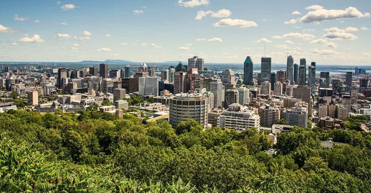 Downtown Montréal skyline viewed from Mount Royal, with lush green trees in the foreground beneath a partly cloudy blue sky.