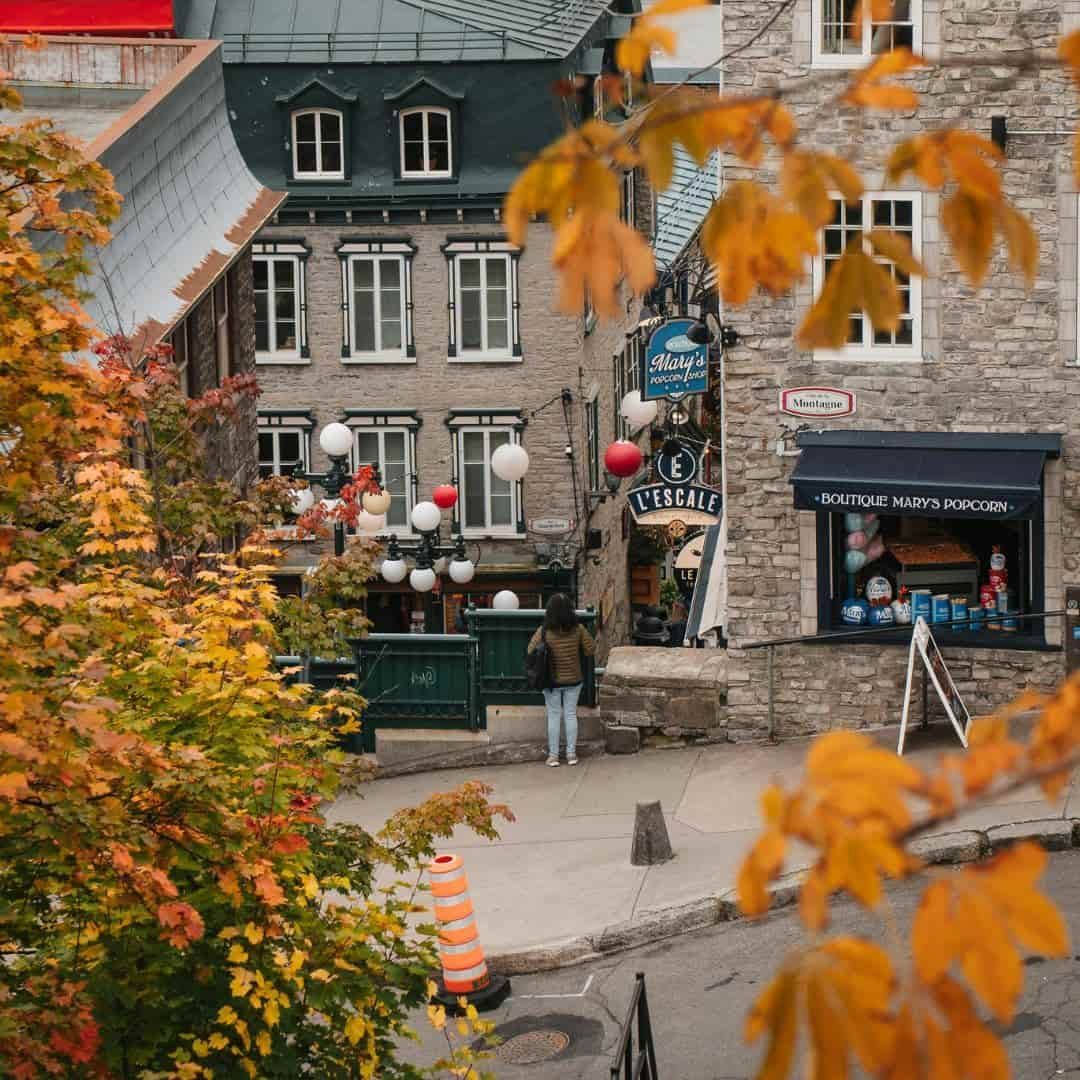Historic Old Québec street framed by colourful autumn foliage during a Québec City fall tour