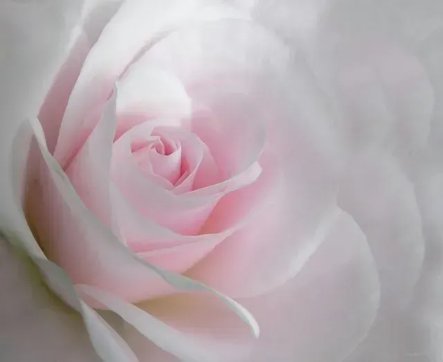 Tantric yoni massage for women