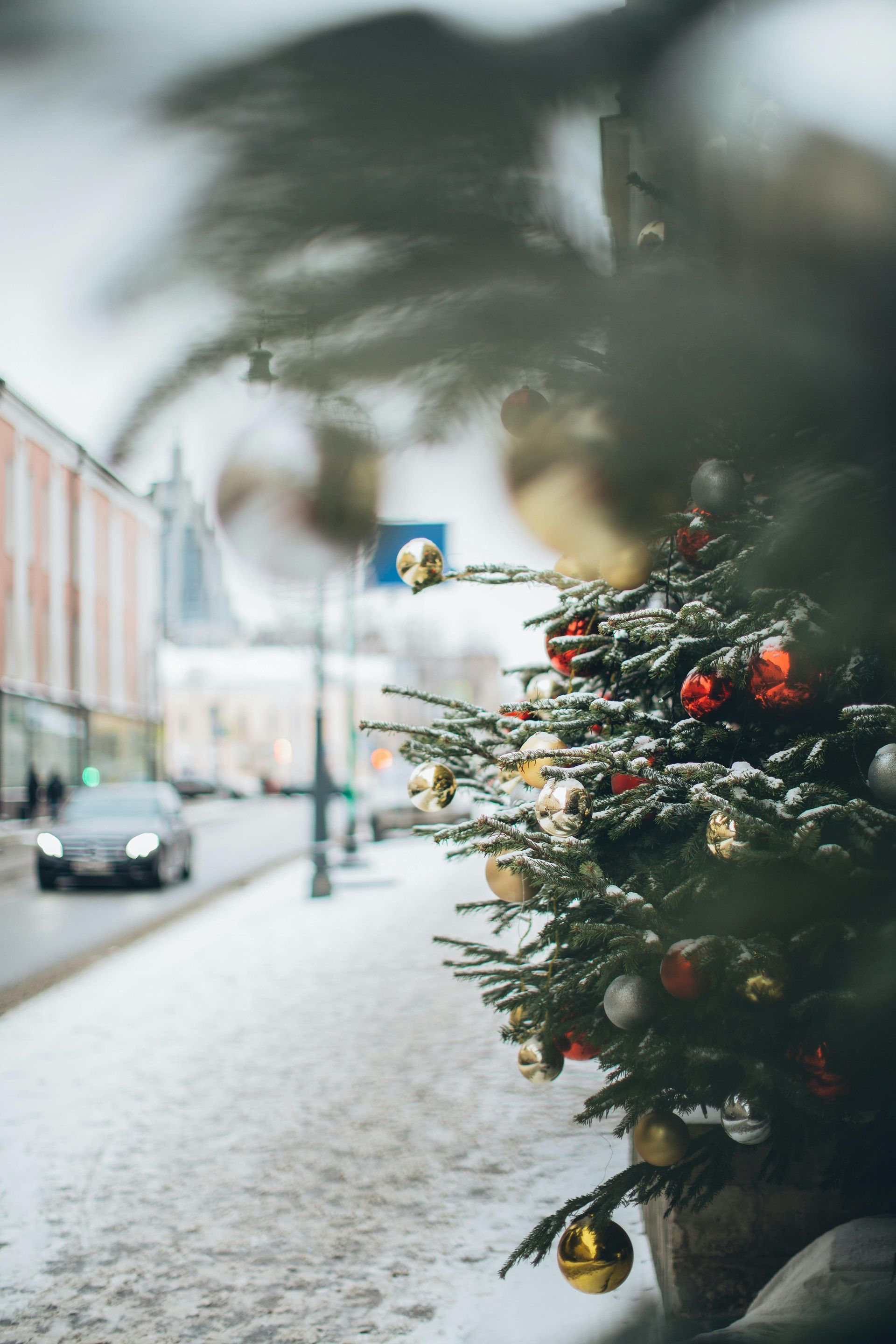 Christmas image