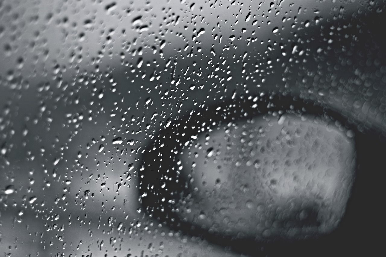 wet car window