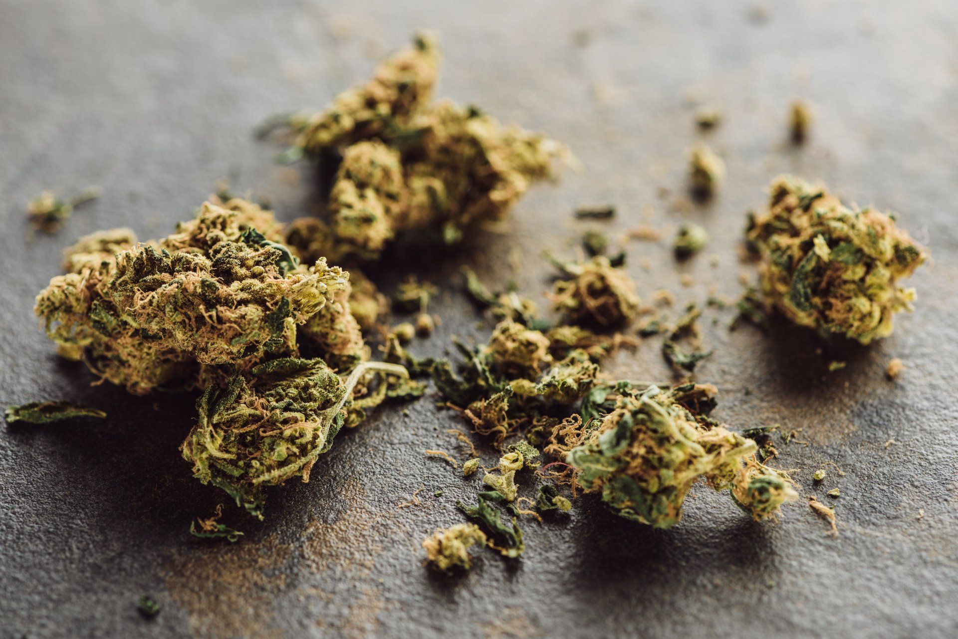 marijuana bail bonds