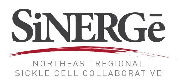 Sinerge Logo