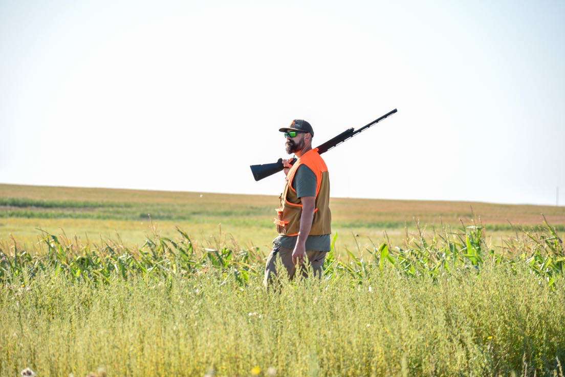 ND pheasant hunting