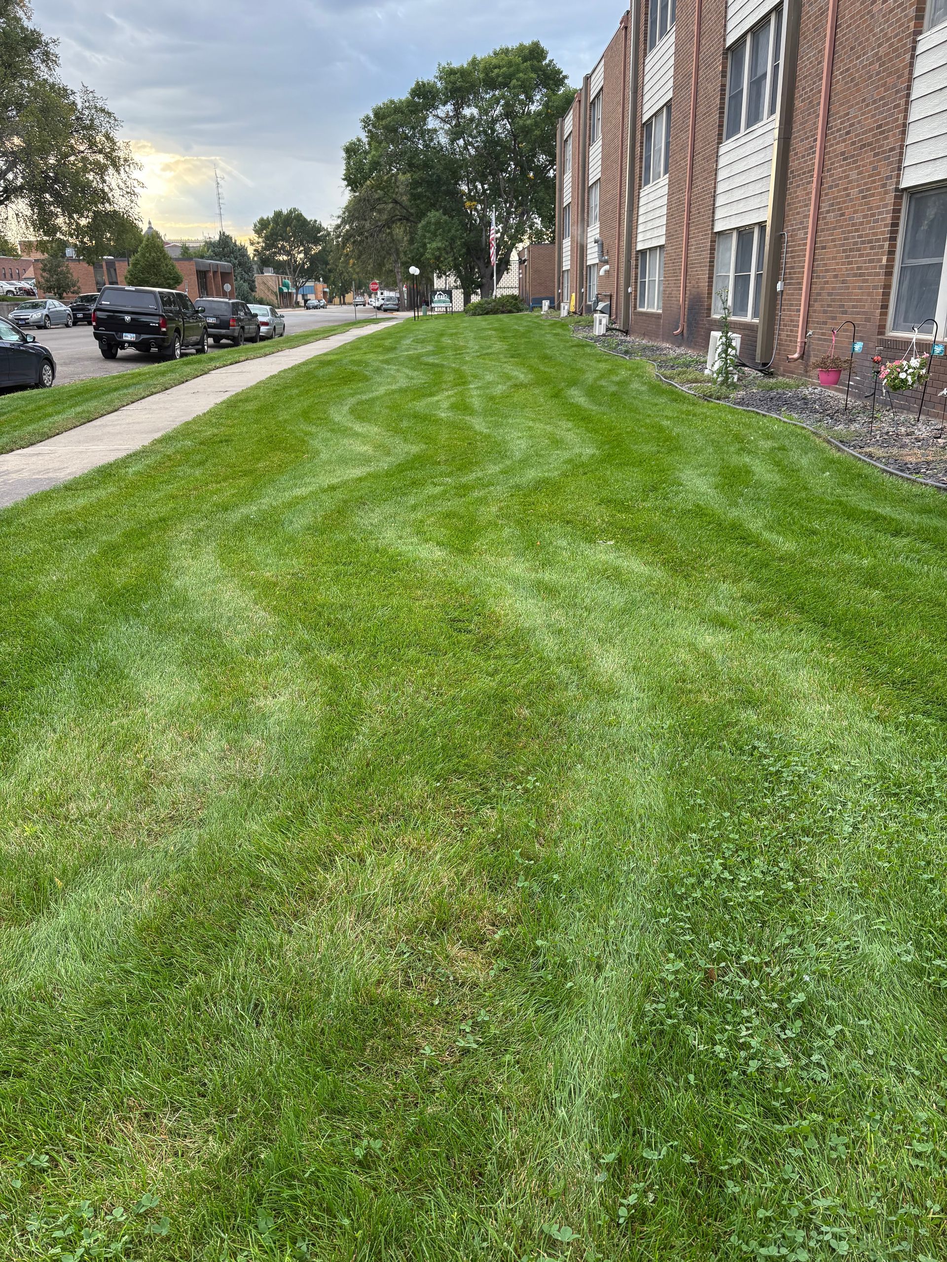 Lawn mowed with stripes, sidewalk, parked cars, brick building with windows under a cloudy sky.