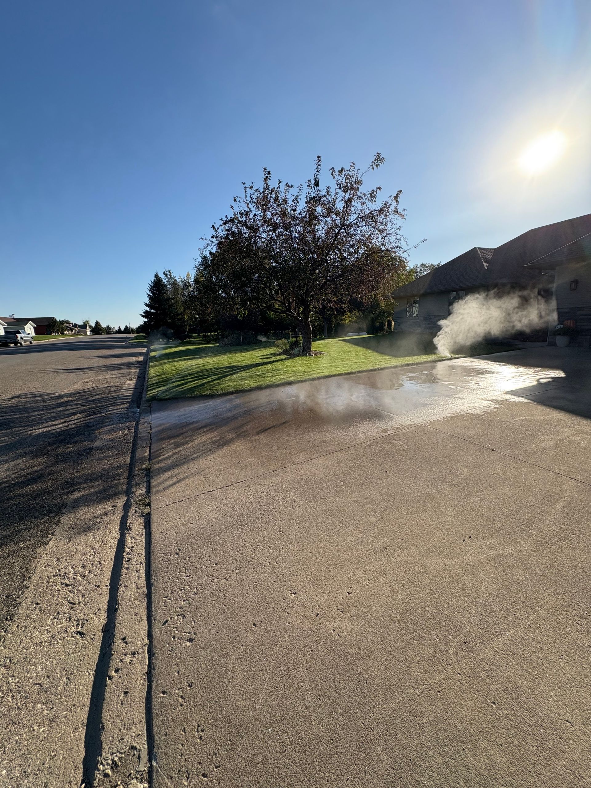 Asphalt street with a tree in the center; steam or water is visible. Bright sun.