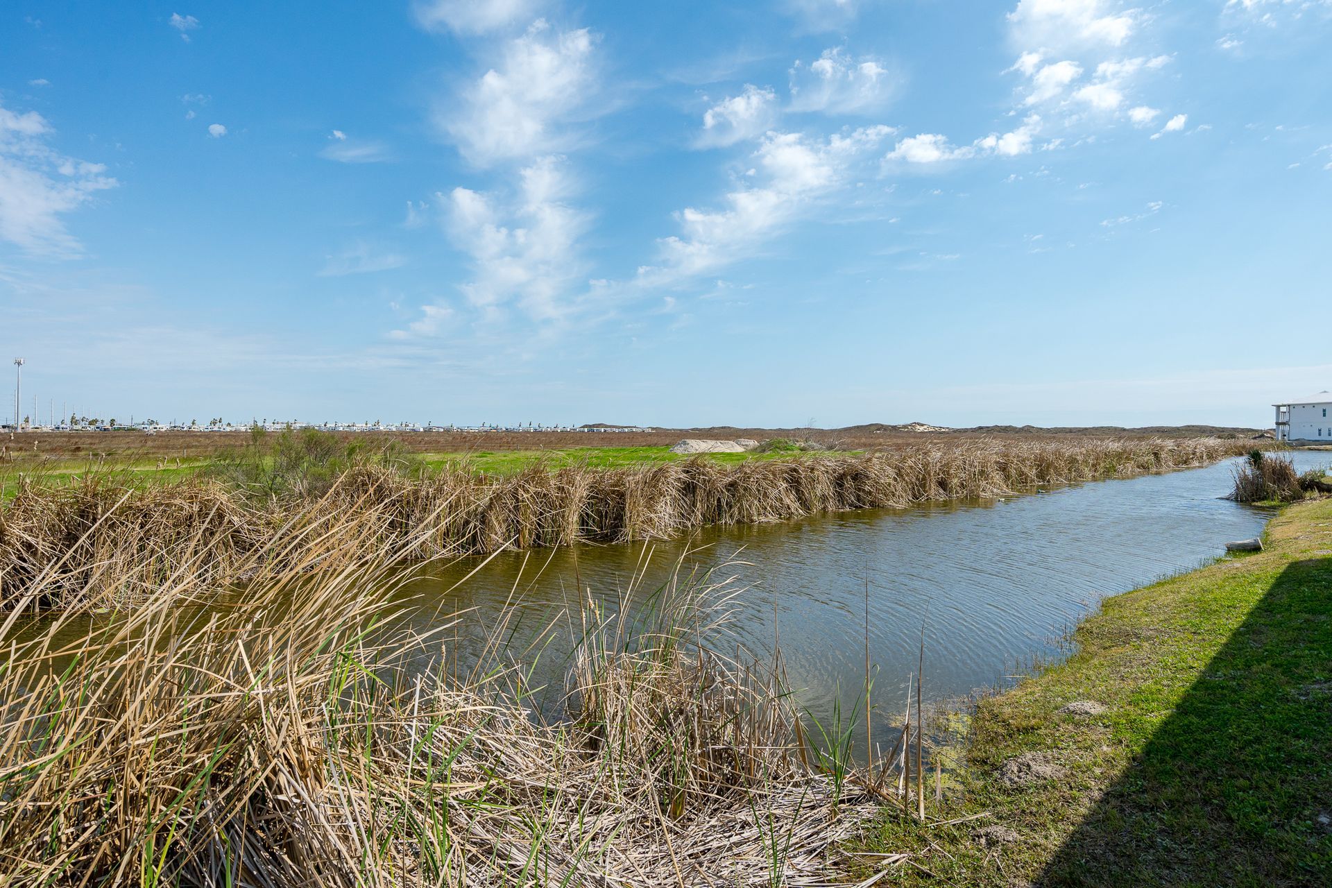 Canal lined with brown reeds under a blue sky, some buildings visible in the distance.