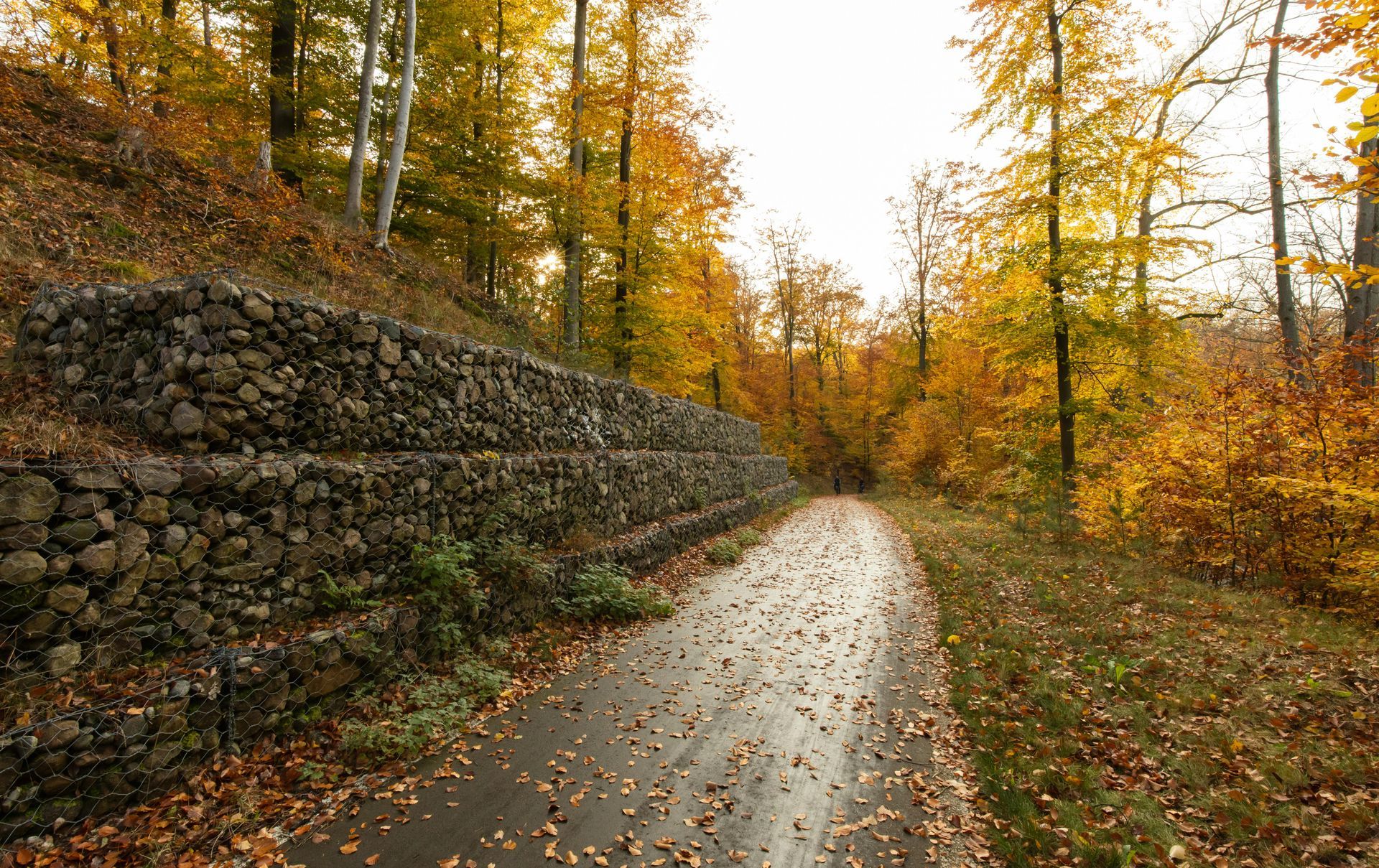 A paved path winds through an autumn forest, flanked by a tall, tiered gabion stone wall on the left.