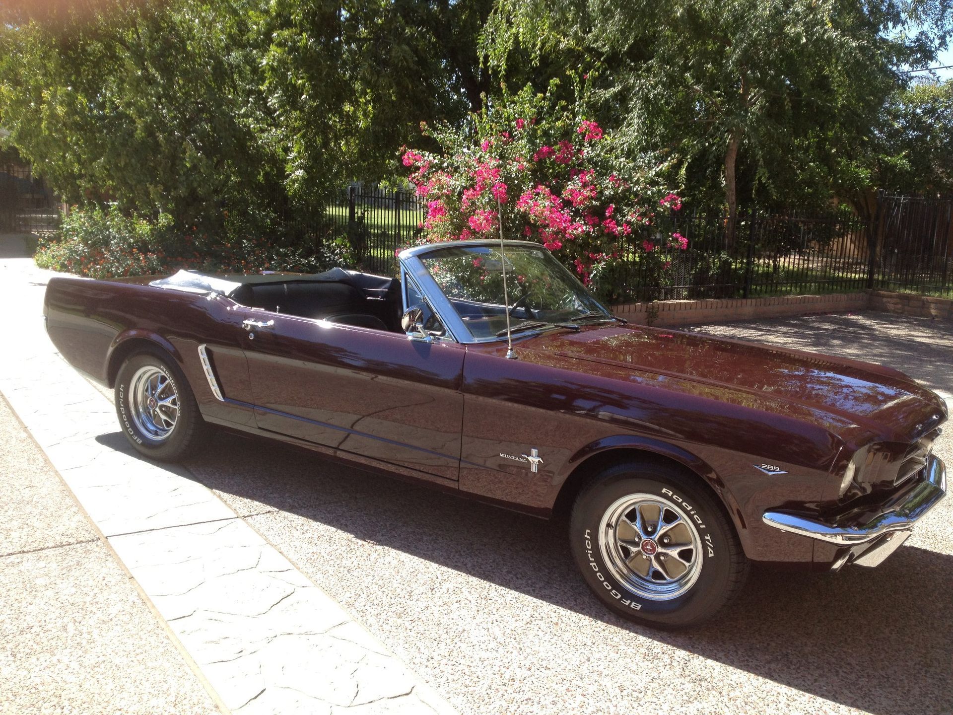 Classic Ford Mustang convertible with restored paint after professional detailing