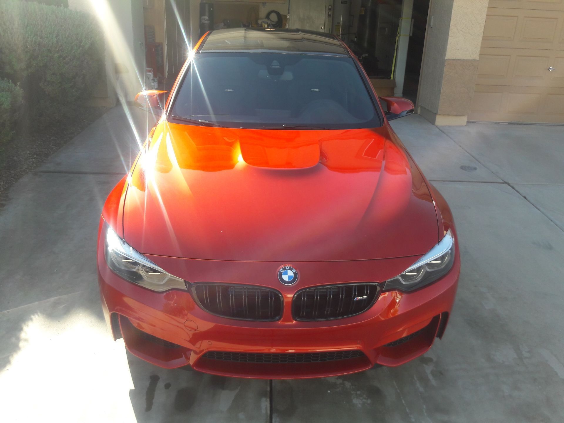 Professional paint polishing for vehicle paint correction
