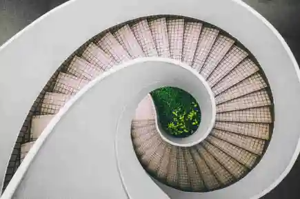 A spiral staircase with a tree in the middle of it.