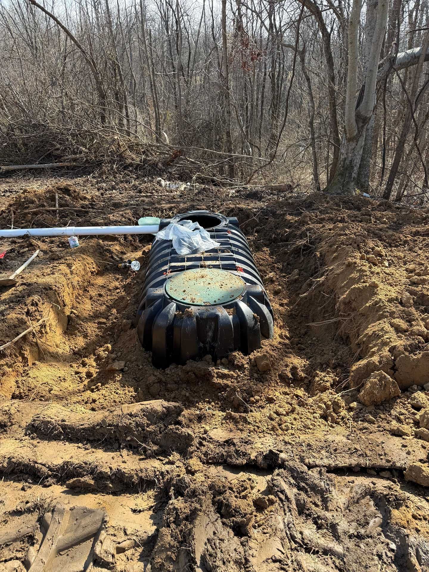 Black plastic tank in a dirt pit amid bare trees, with a pipe extending from the left.
