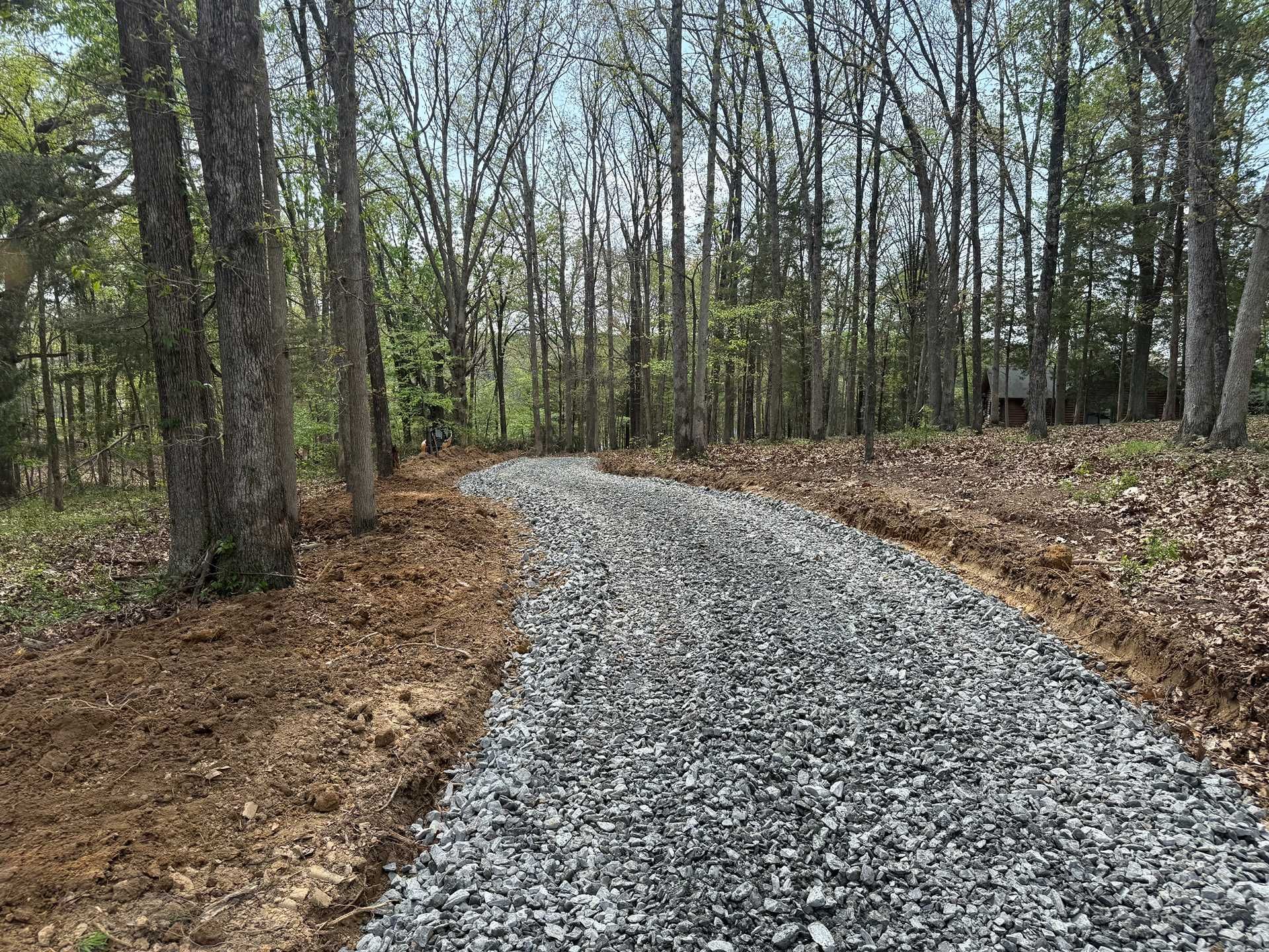 Gravel path curving through a quiet wooded forest in early spring
