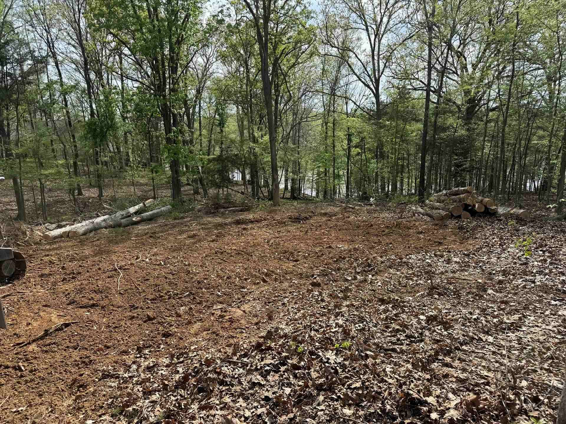 Leaf-covered forest clearing with trees and fallen logs under a gray sky