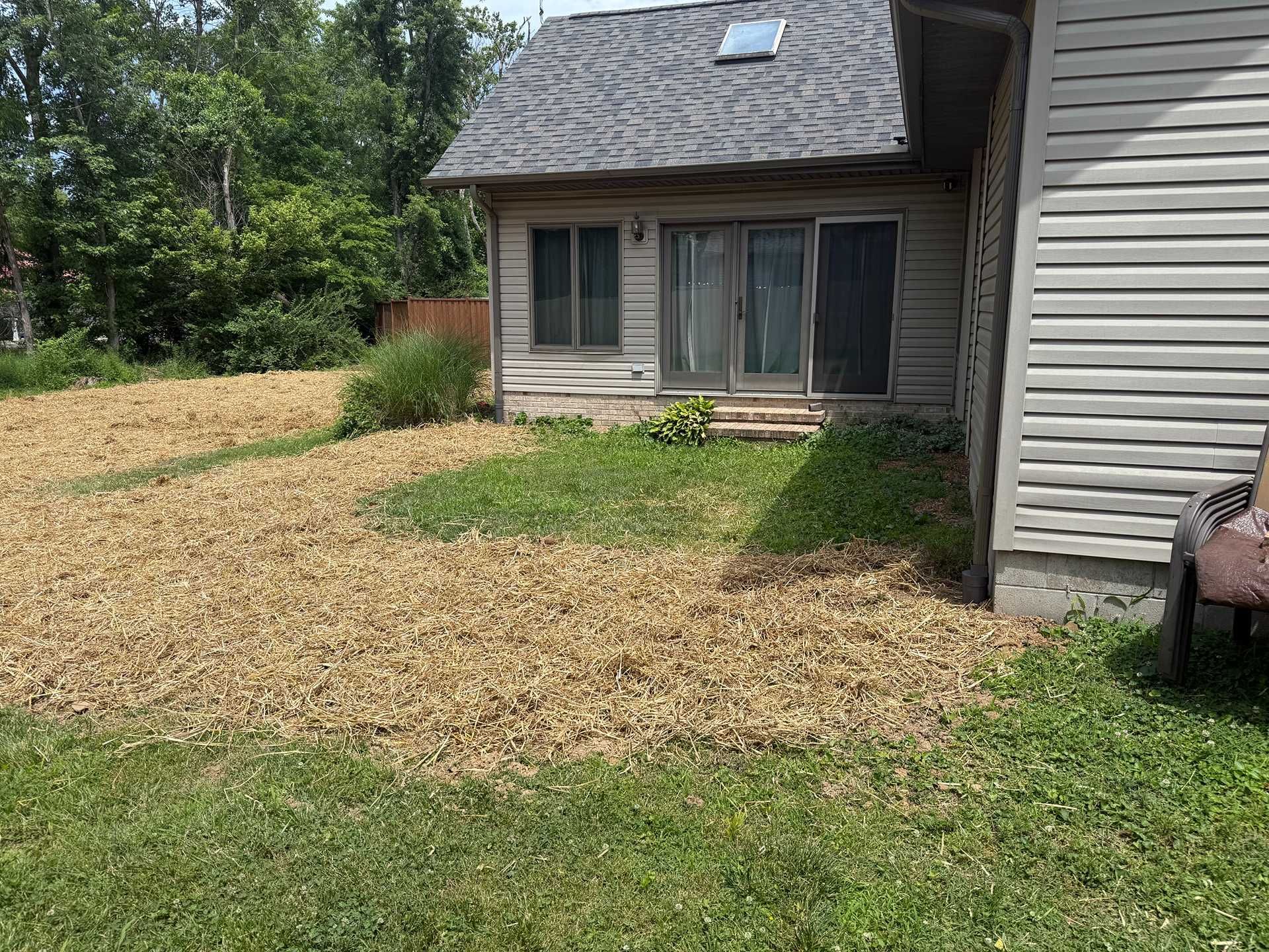 Backyard with patchy grass, wood chips, and a small house with sliding glass doors and a shingled roof