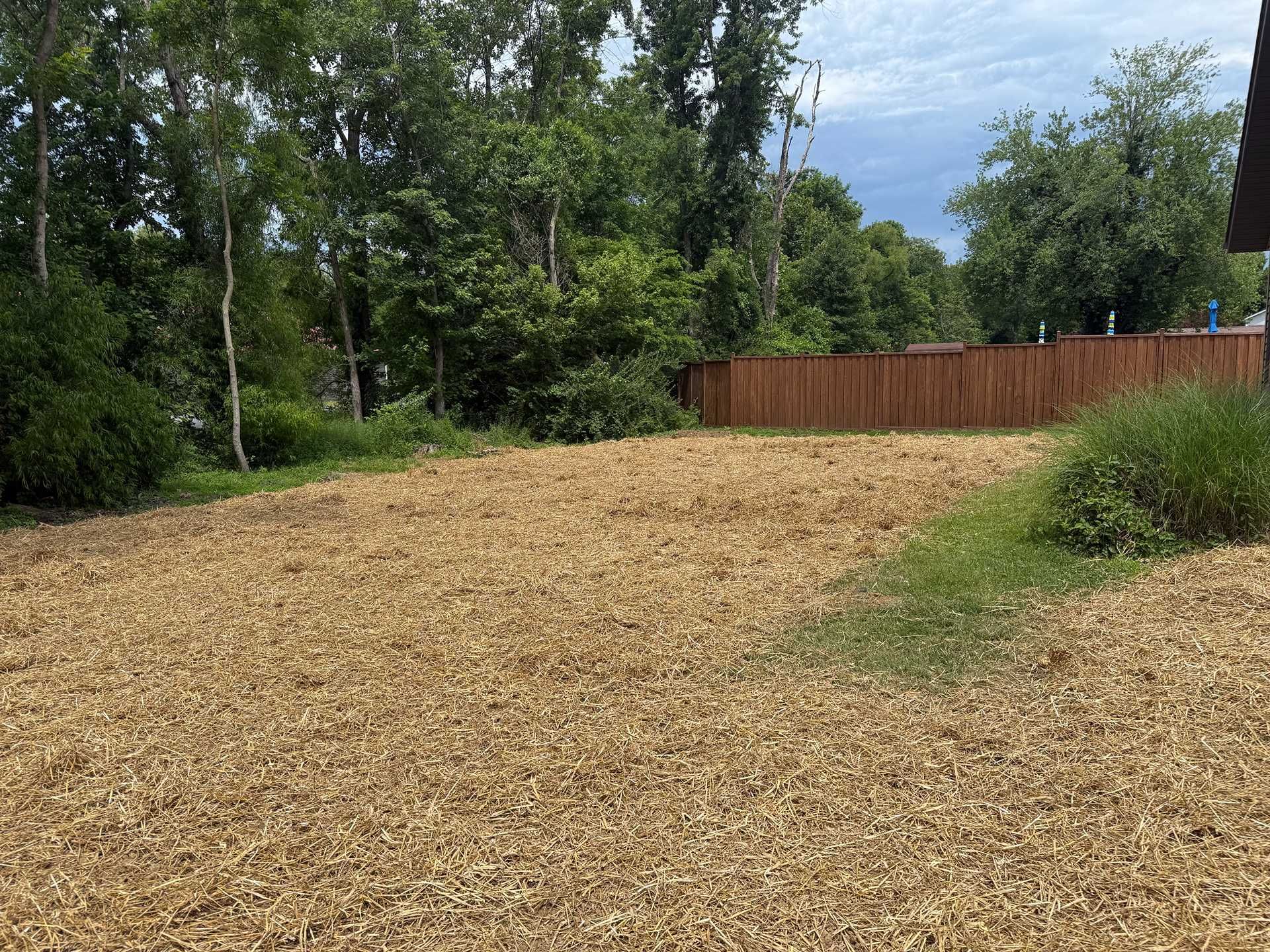 Freshly mulched yard bordered by trees and a wooden fence under a cloudy sky