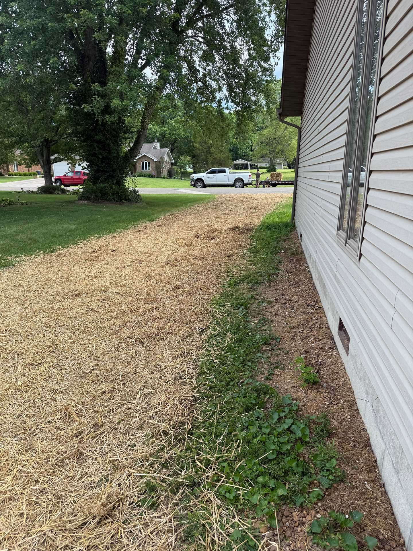 Gravel driveway beside a white house, with a lawn, trees, and parked cars in the background