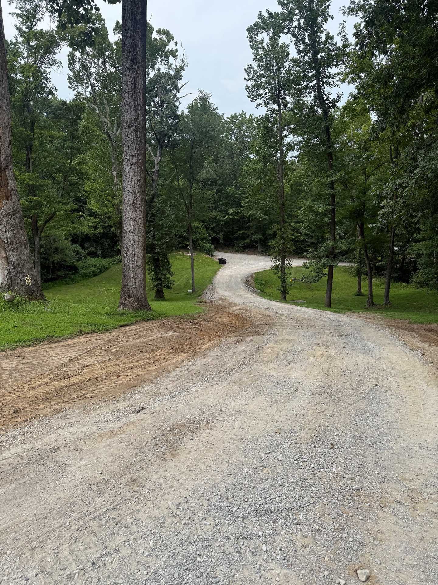Gravel road curving through a wooded green landscape with tall trees on both sides
