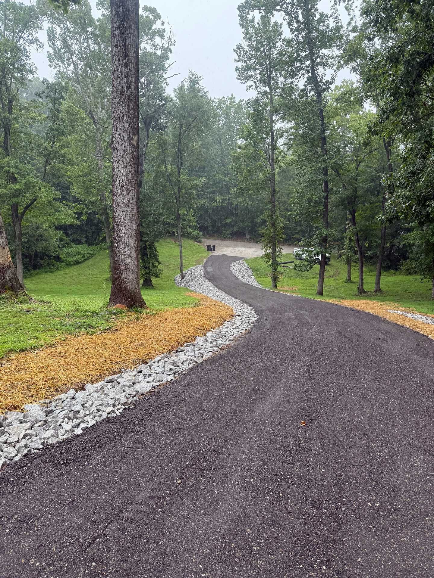 Curving gravel path through a green, rainy forest with tall trees and wet pavement