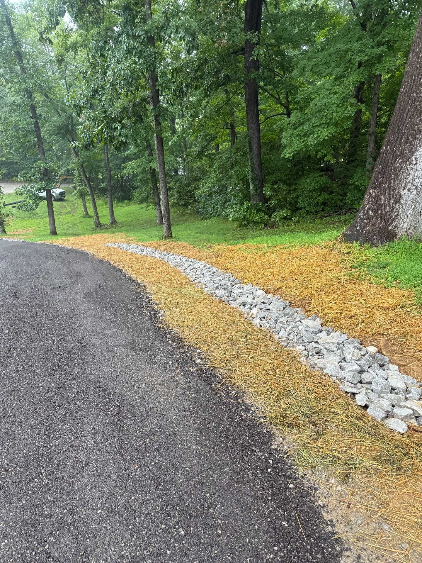 Rainy park path with a curved gravel edge, yellow flowers, and tall trees along the side