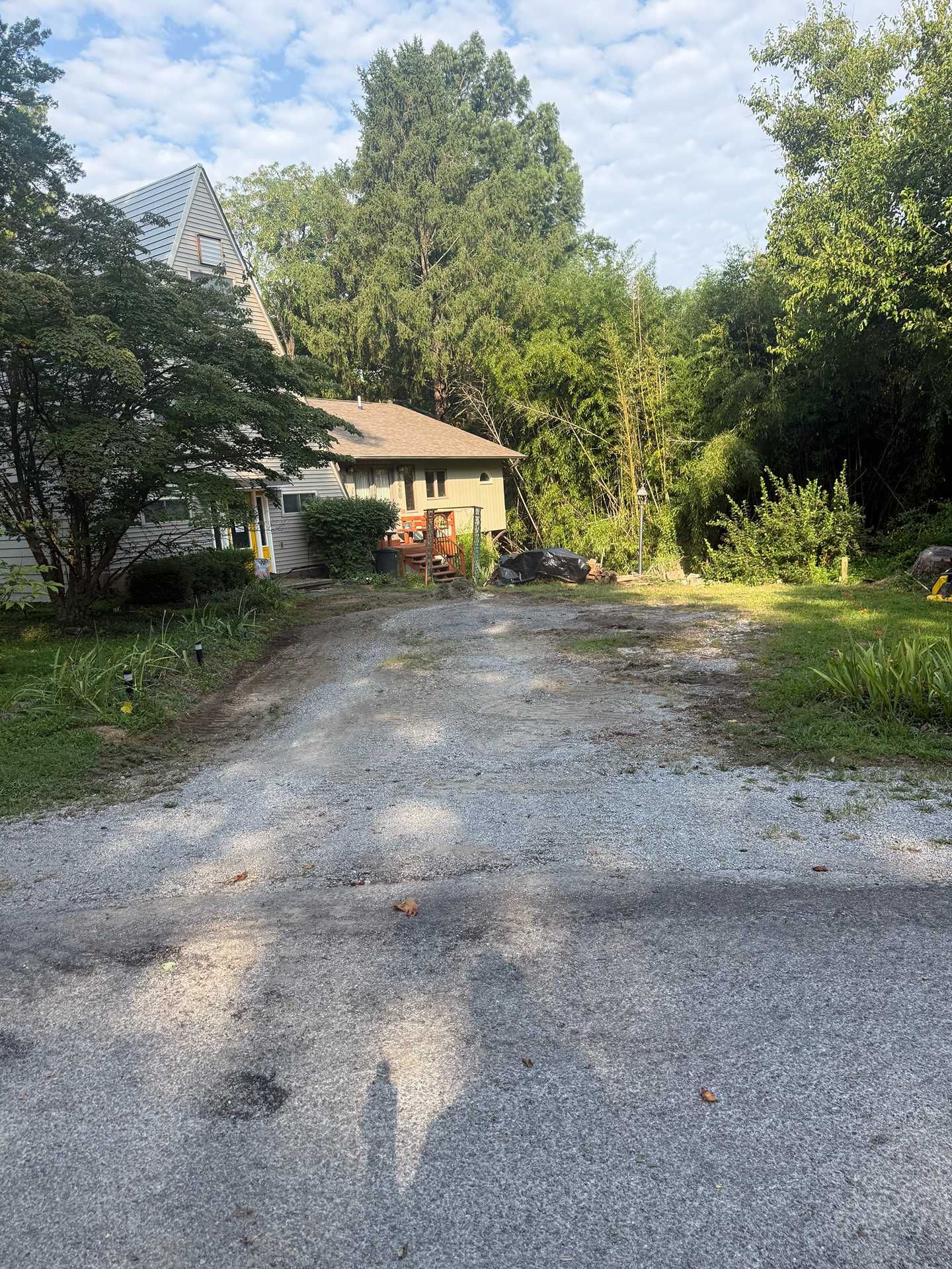 Gravel driveway leading to a small house surrounded by trees in bright daylight.