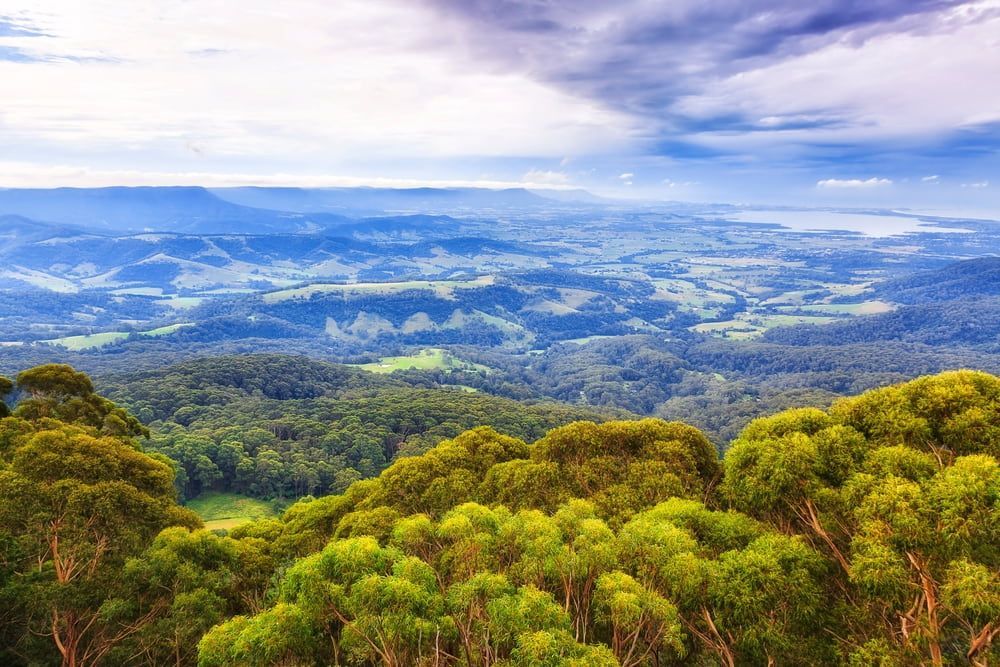 A View Of A Lush Green Forest With Mountains In The Background — MJ's Mobile Car Mechanic In Cordeaux Heights, NSW