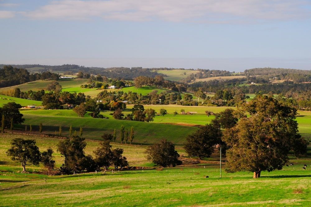 A Lush Green Field With Trees And Hills In The Background — MJ's Mobile Car Mechanic In Picton, NSW
