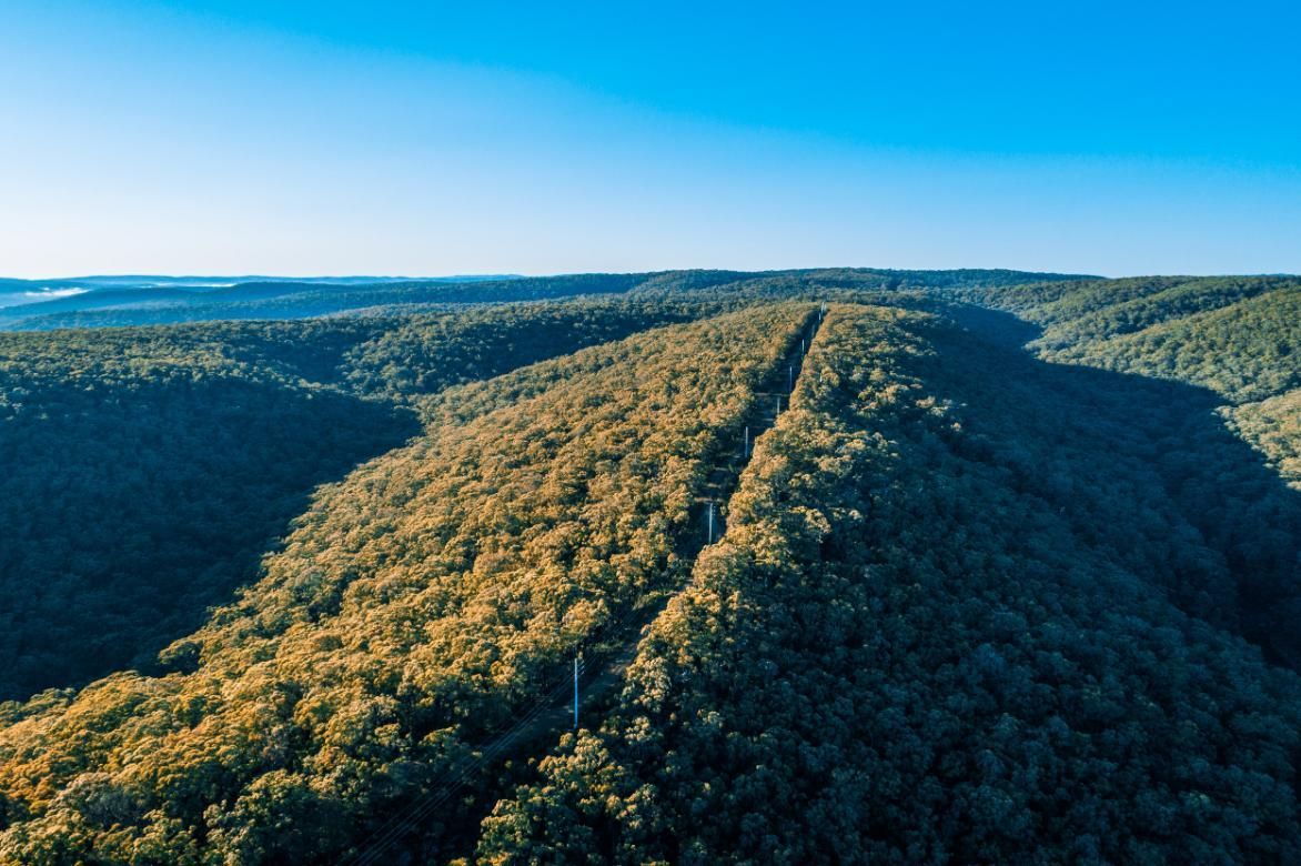 An Aerial View Of A Mountain Covered In Trees — MJ's Mobile Car Mechanic In Bargo, NSW