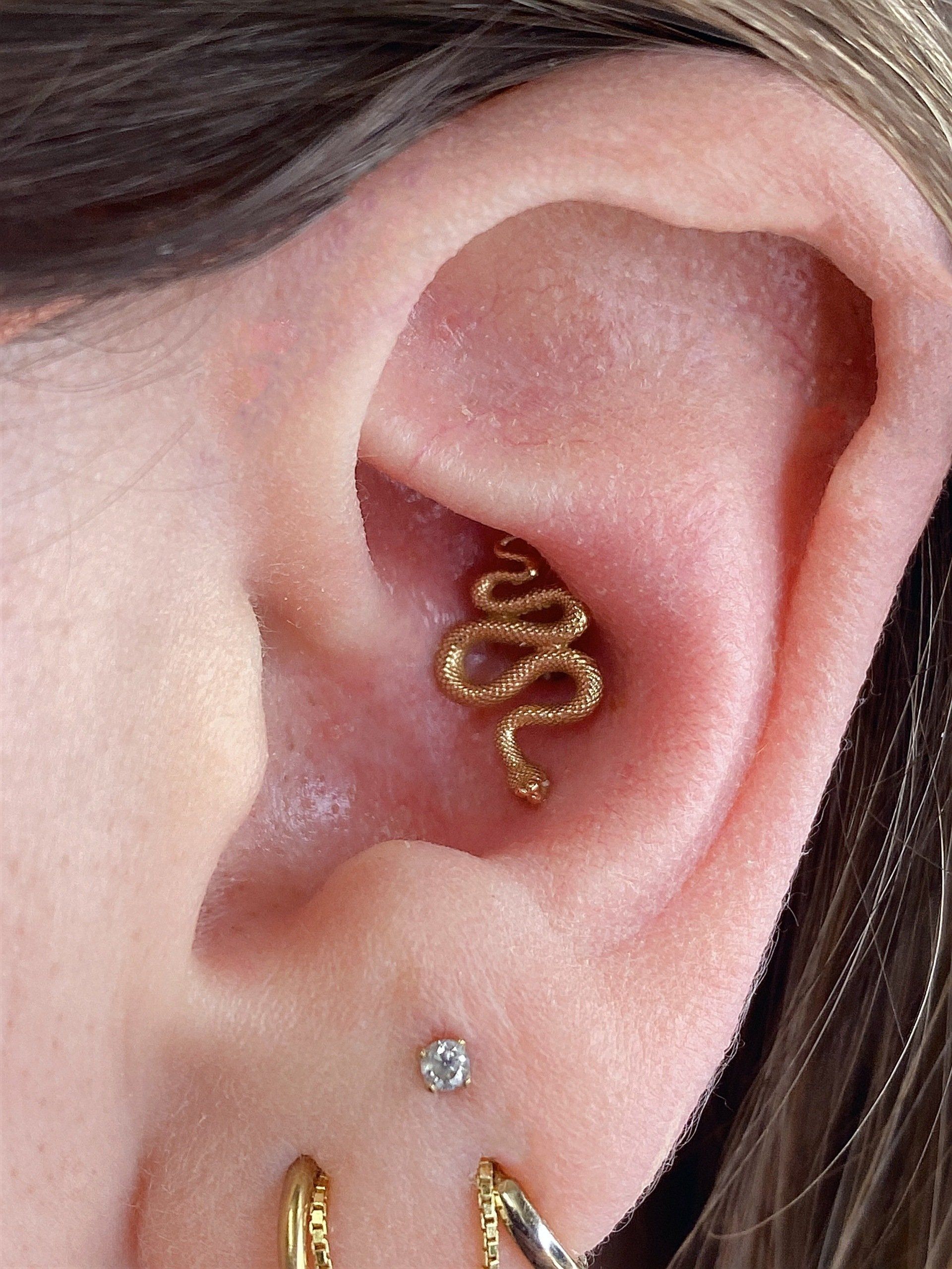Snake earing piercing — Little Rock, AR — Seventh Street Tattoos & Piercing