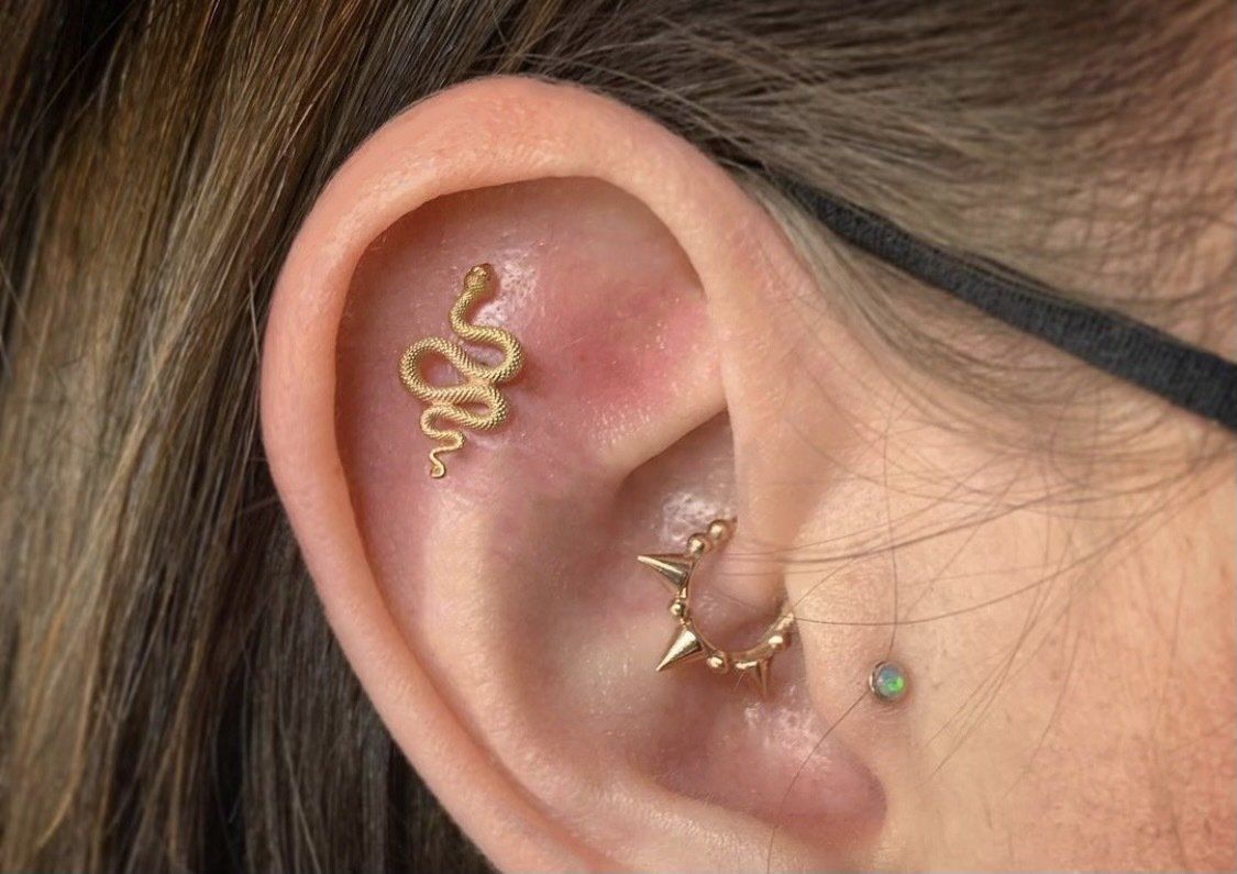 Piercing with snake design earing — Little Rock, AR — Seventh Street Tattoos & Piercing
