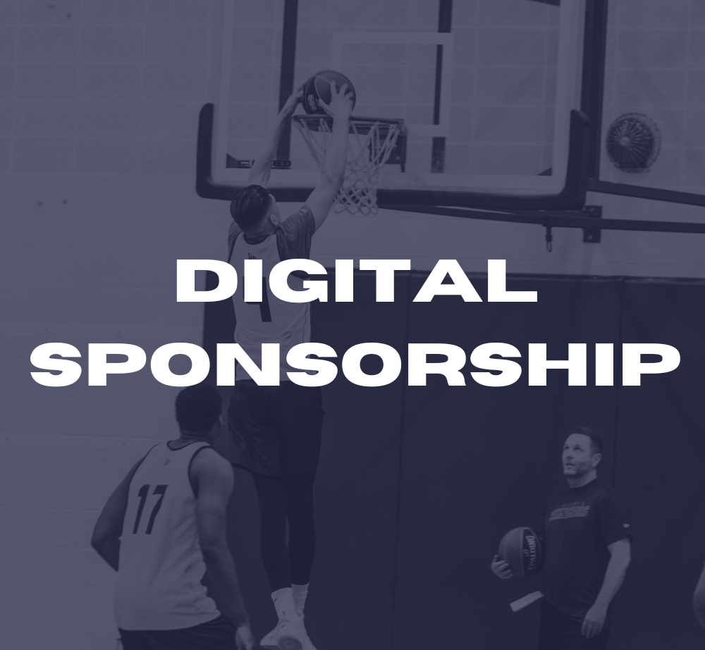 edmonton-stingers-professional-basketball