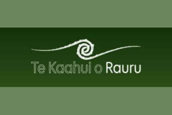 We are seeking an experienced and passionate Pou Taiao to lead our environmental and resource management function and help advance the environmental aspirations of Ngaa Rauru Kiitahi.