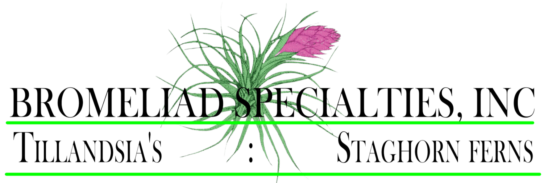 Bromeliad Specialties