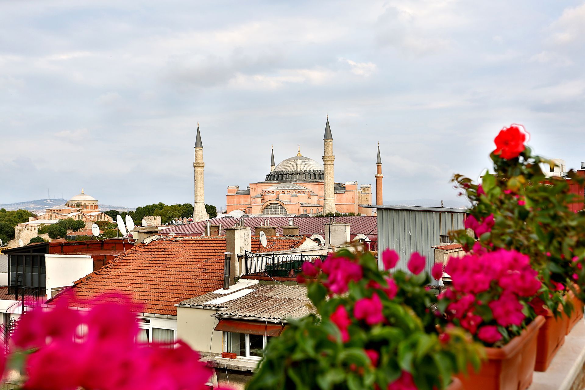 Istanbul white house hotel | Istanbul skyline with Hagia Sophia and pink flowers in the foreground