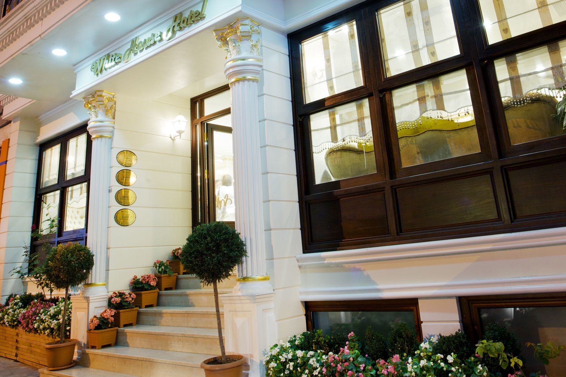 Elegant cream house entrance with steps, potted flowers, and large dark-framed windows