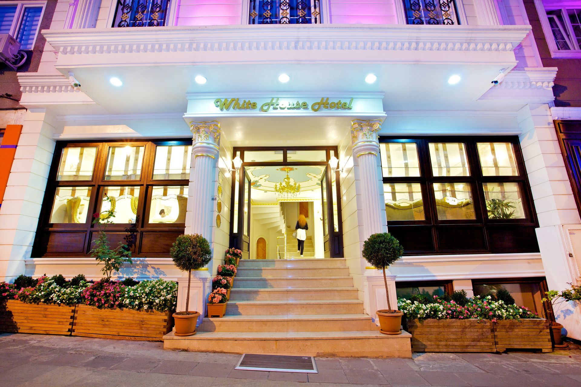 Illuminated hotel entrance with white columns, steps, potted plants, and glowing windows at night